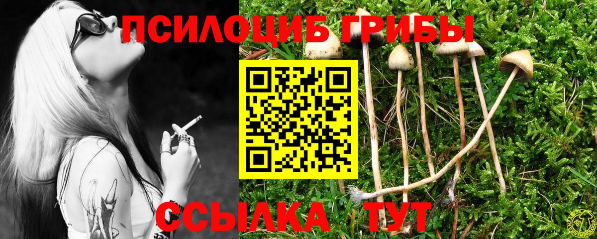 Ростов-на-Дону  где купить наркоту  Вход с VPN  Псилоцибиновые грибы ЛСД 