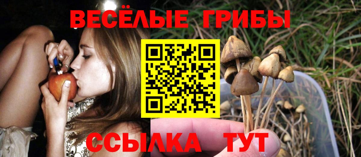 Галлюциногенные грибы мухоморы Ростов-на-Дону